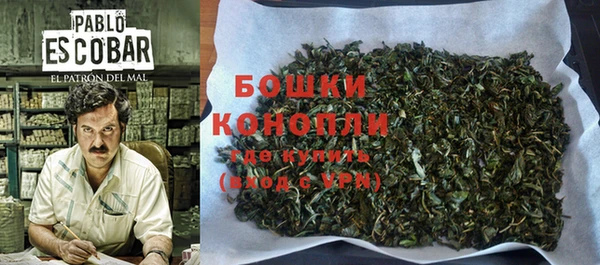 стаф Вязьма
