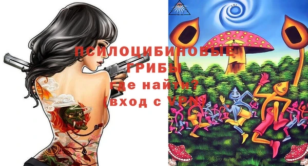 стаф Вязьма