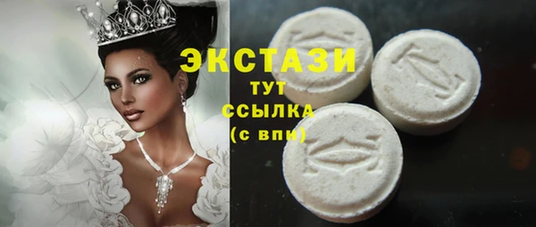 стаф Вязьма