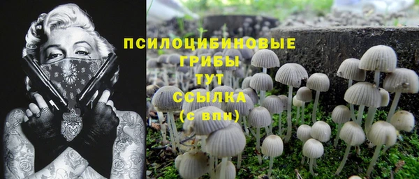 прущий лед Вязники