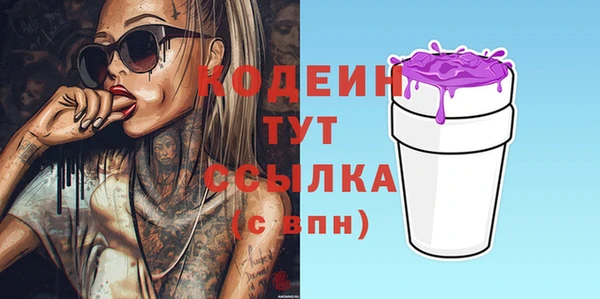стаф Вязьма