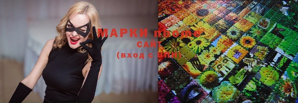 стаф Вязьма