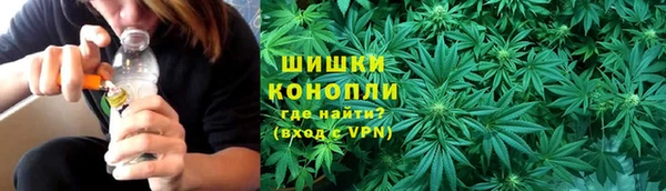 стаф Вязьма