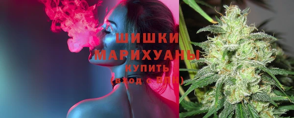 стаф Вязьма