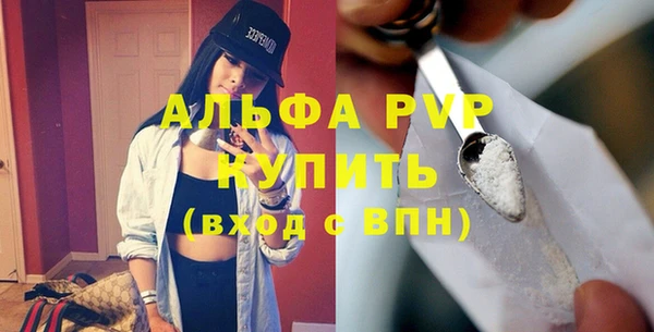 стаф Вязьма