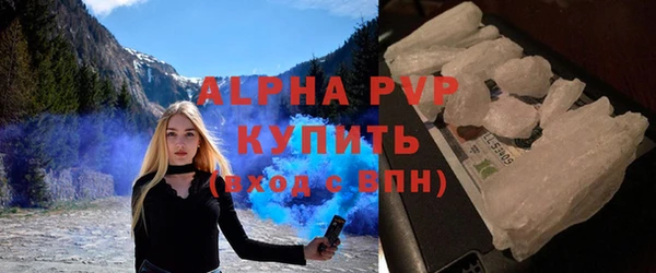 стаф Вязьма