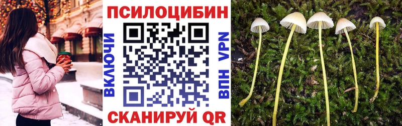 Псилоцибиновые грибы мицелий  Купить закладки  Кяхта 